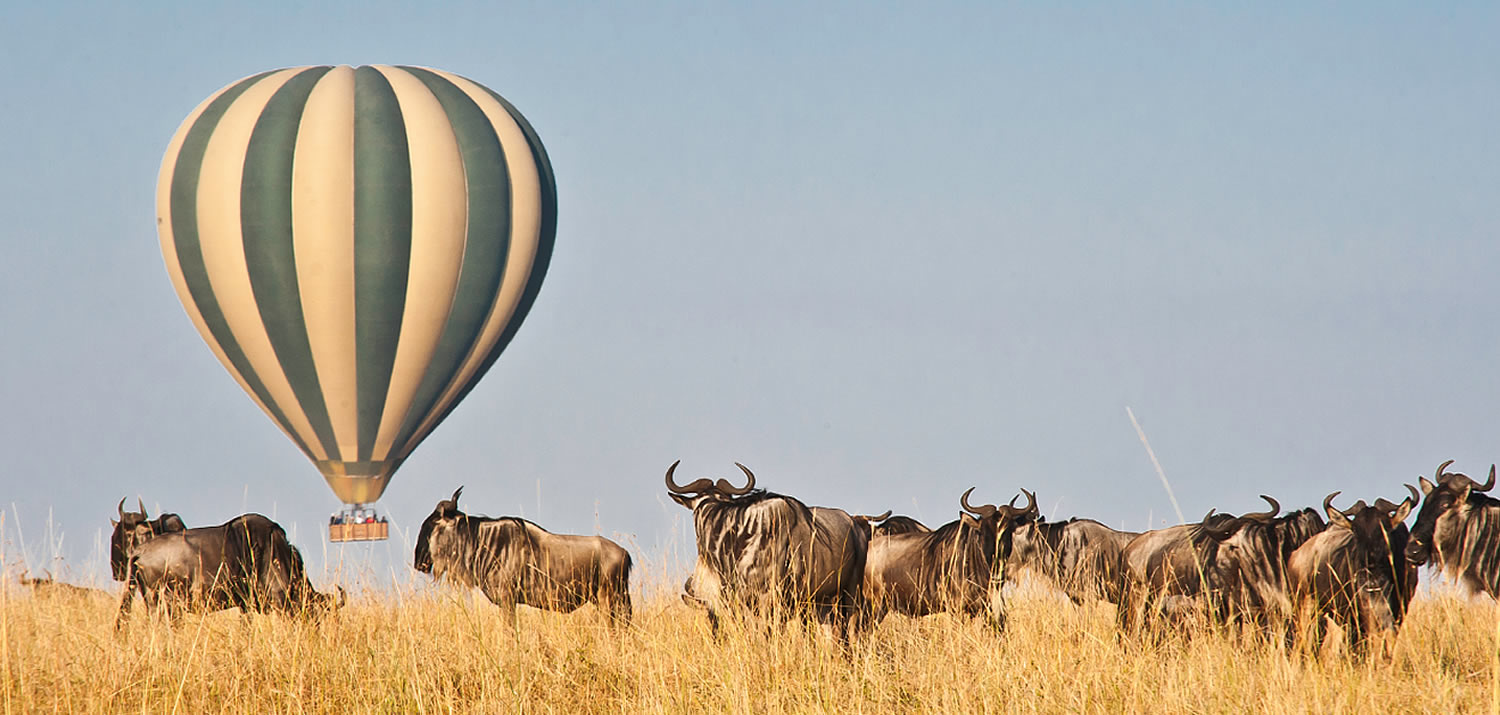 Masai Mara savanna landscape