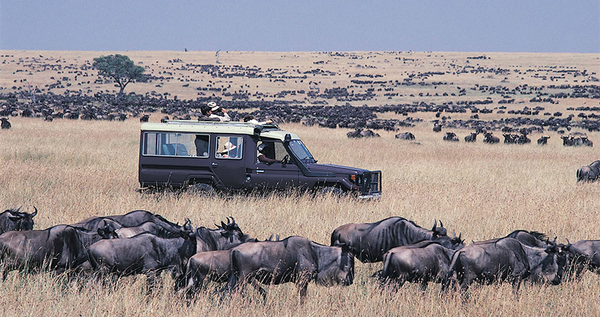 Maasai culture experience