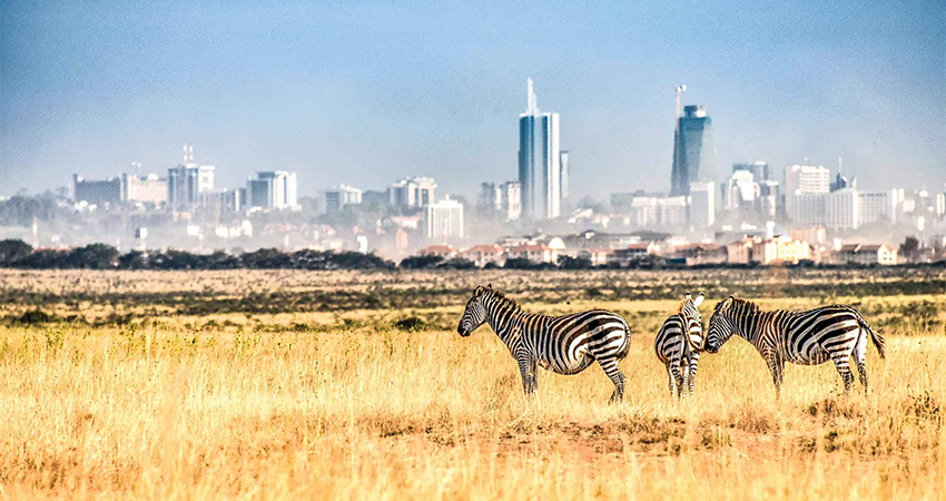 Nairobi Collection