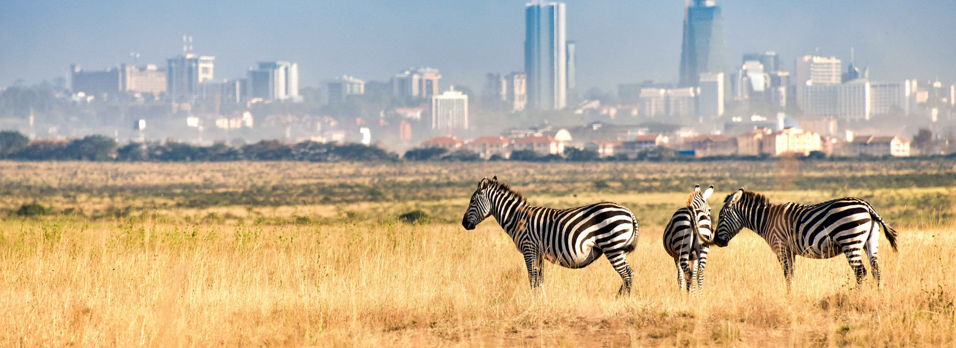 Nairobi National Park