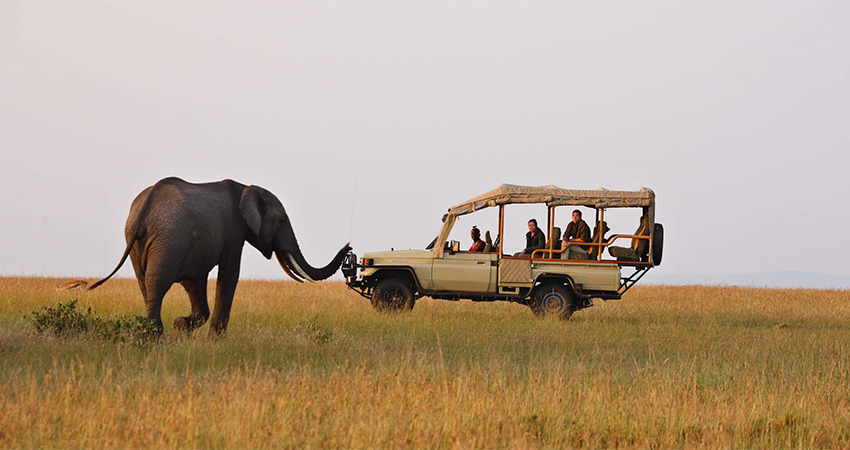 Samburu Collection